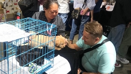 环保和爱心可以这样结合：回收一件闲置的数码产品，领养一只流浪小动物