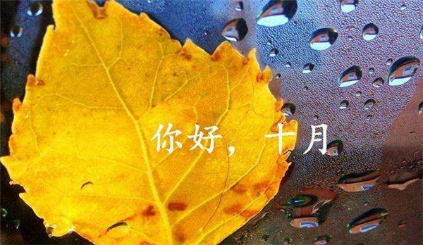 再没有一个季节如秋天这般丰盈饱满