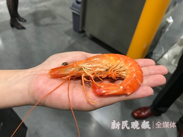 downLoad-20190709192932.jpg