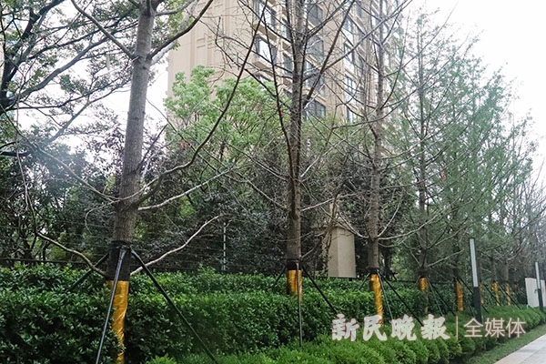 3H4A3928.jpg
