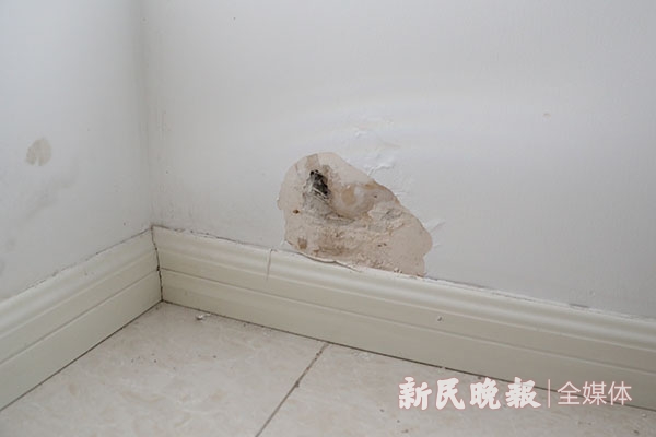 3H4A3776.jpg