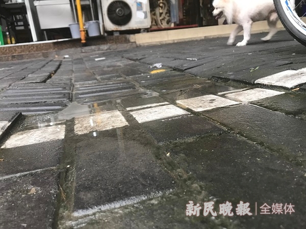 微信图片_20190713154847.jpg