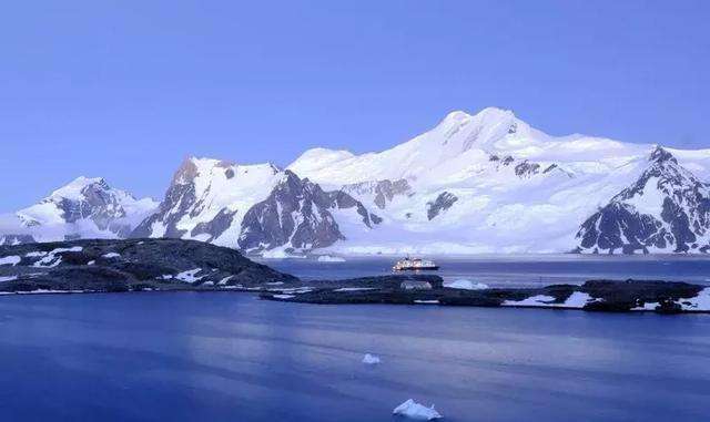 树的生命盎然，那是情深意长