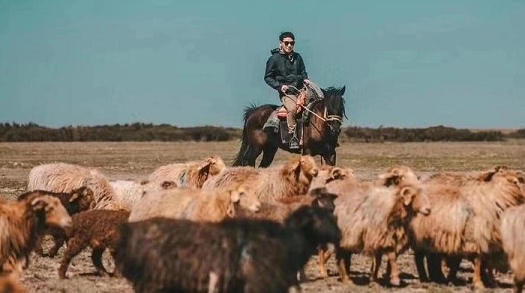 出境游自由行低至千元 中秋错峰游可省一半费用