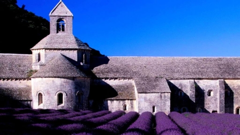 永远的普罗旺斯