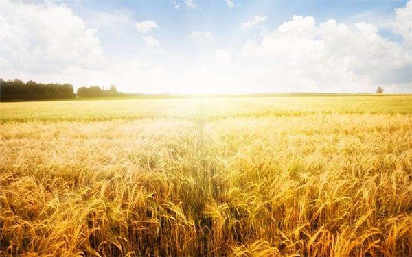 一切都慢下来的秋天