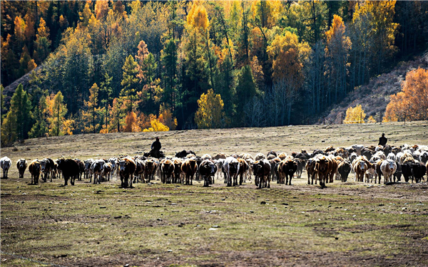 中国大地，无远弗届