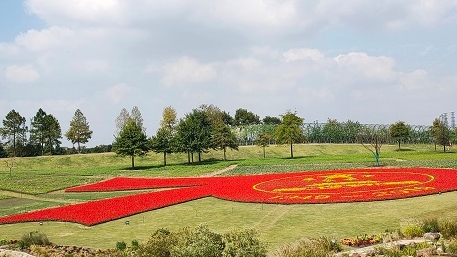 6万盆鲜花拼出巨幅“70花坛” 辰山自然生活节“十一”开幕