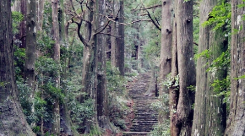 不一样的日本关西熊野古道