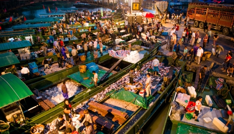 长三角一体化丨太湖开捕“环保”受关注，长兴新塘渔市码头污水上岸了