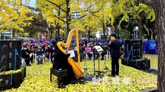 一首冬日序曲一幅城市美景 一年一度的“银杏音乐会”今天举行