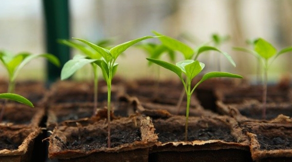 归来了，我的城