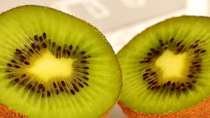 新冠疫情下逆流而上 新西兰奇异果为何火了？