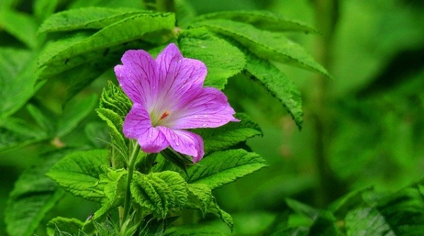 “悲喜在一刹那转换”之叹