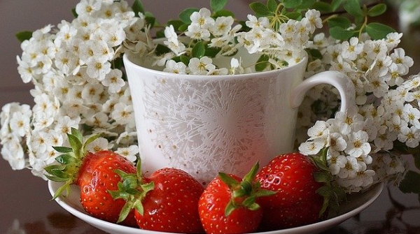 疫情时期如何降低恐惧感