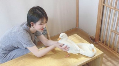 营商在上海 | 刘嘉雯：开宠物解压俱乐部，90后女孩“冲鸭”！