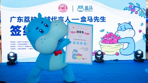 广东荔枝全球代言人来了！“盒马先生”以千吨荔枝“代言费”出道