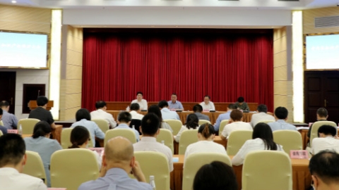 普陀区知识产权创造运用水平持续提升 PCT国际专利申请量稳步增长