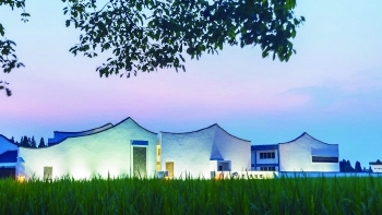 新民艺评｜乡村振兴不仅是建几栋时髦民宿