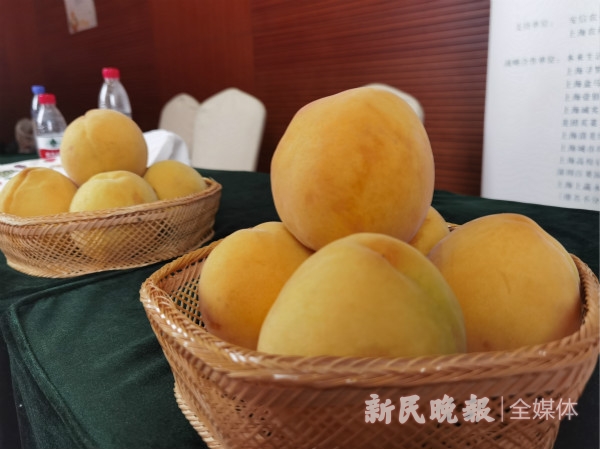 上海地产黄桃熟了!奉贤独占“半壁江山”