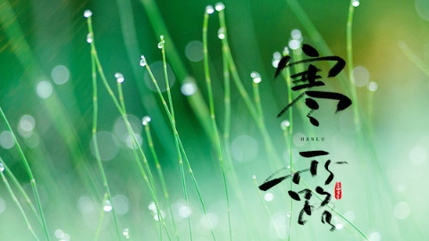 节气｜寒露，露似真珠月似弓