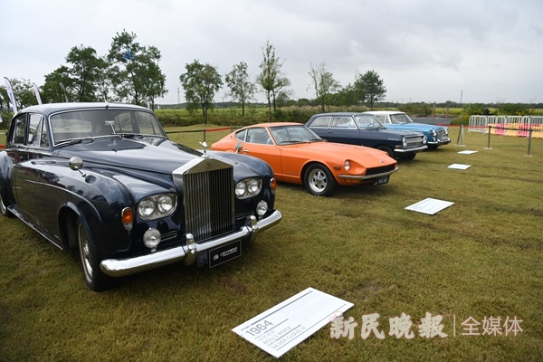 1966林肯大陆、劳斯莱斯银云3……“金秋古董车大巡游”启幕