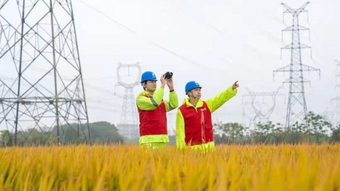 国网上海电力：要把今冬明春电力保供作为当前头等大事  严守“限电不拉闸”“限电不限民用”纪律红线