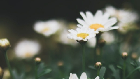 灯花 | 始终绷紧安全之弦