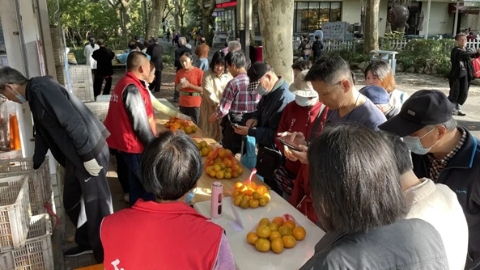 柑橘进公园已累计销售98万斤 3座公园延长推介时间
