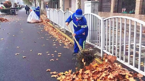 申城降温吹落大量树叶 环卫师傅亮出“绝招”