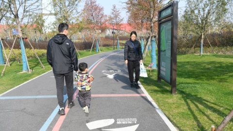 独家述评丨从绿地到绿道，遇见不一样的风景