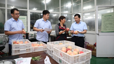 这部浦东法规，让知识产权“快保护”“严保护”双箭齐发