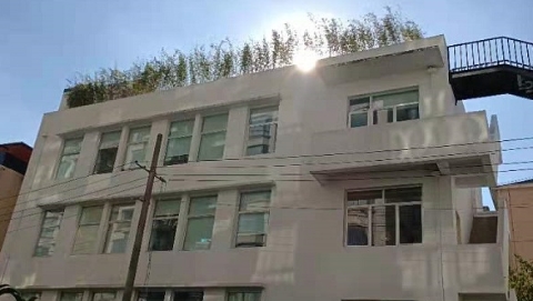 隔壁单位顶楼绿植影响居民家中采光 市民呼吁定期及时修剪
