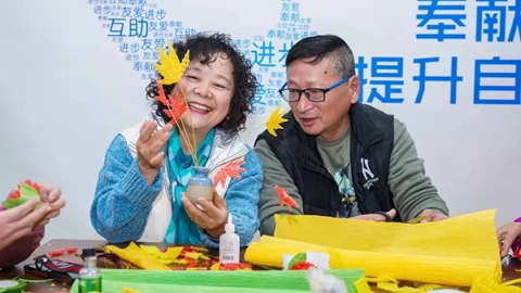 15分钟生活圈｜是什么让宝山顾村镇这老两口停不下脚步？