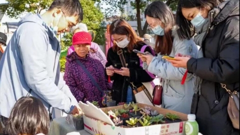 大爱满满！这里有一场别样的城市“微旅行”