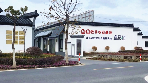 新春走基层·一处乡愁寄此乡丨浦东航头镇长达村：数字经济点亮乡村振兴新路径