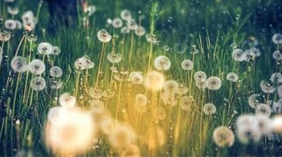 百家话小康 | 南阳台北阳台