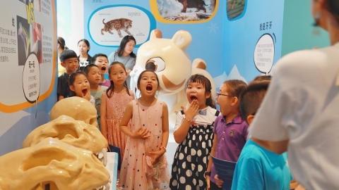 这场科普展 帮你了解“喵星人”的前世今生