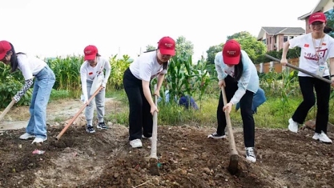 暑假百景｜上海财大学子用双手干一场农活 用所学调研乡村产业振兴