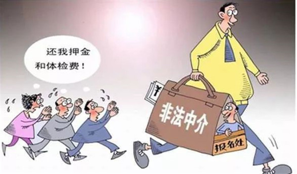 新民人才网:解锁职业发展的新篇章