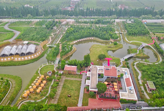 崇明首家开心农场开门迎客坐在稻田里也能喝咖啡