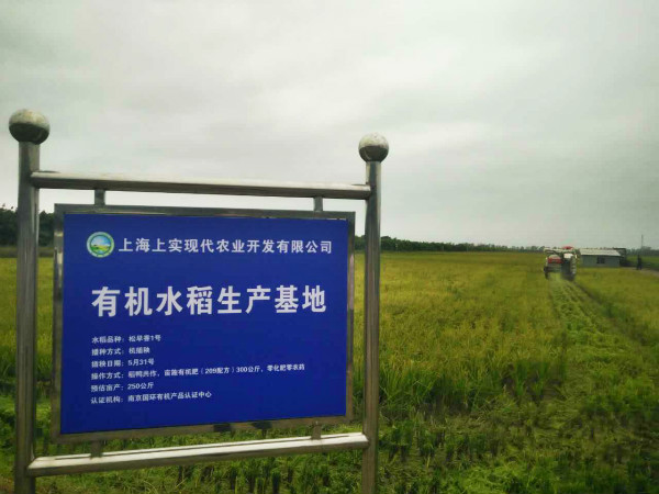图说:有机水稻生产基地.范洁 摄