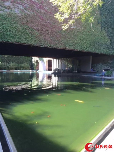 冯骥才研究院一景 新民晚报记者 郭影 摄.jpg