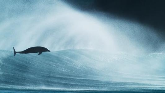 同一片海洋,深海,珊瑚礁,深蓝海洋,绿色海洋,海岸和我们的蓝色星球