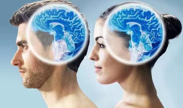你的大脑性别是男是女研究证明男性大脑挣钱更多