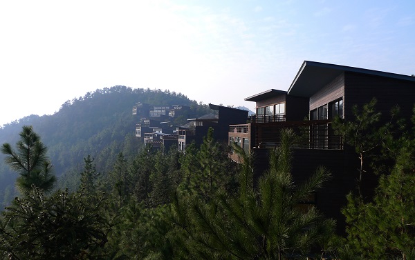 裸心谷树顶别墅 - 实践点状用地，依山而建，对自然的影响降到做小.JPG