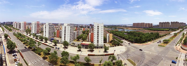 图说:浦东新区泥城镇,地处上海东南.泥城镇供图