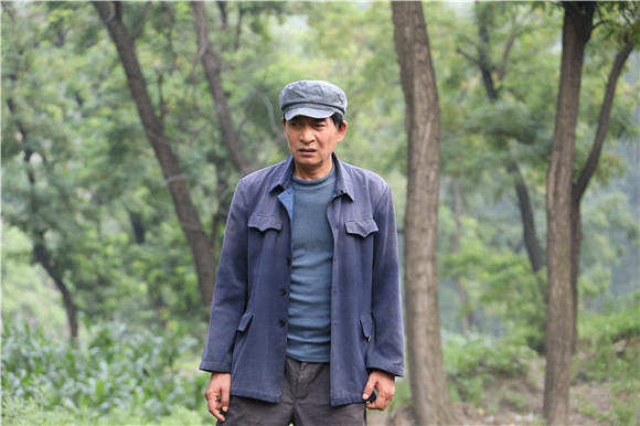 超现实主义题材关注弱势群体绽放吧百合将登电视剧频道