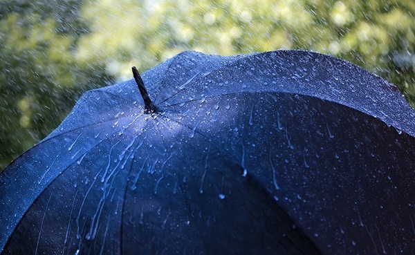 雨中她递来一把伞递来一冬的暖