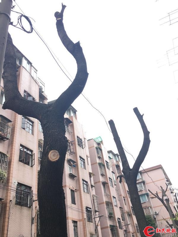 binary_middle (4).jpg